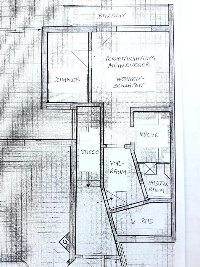 Ferienwohnung Muehlburger Lienz Eksteriør bilde